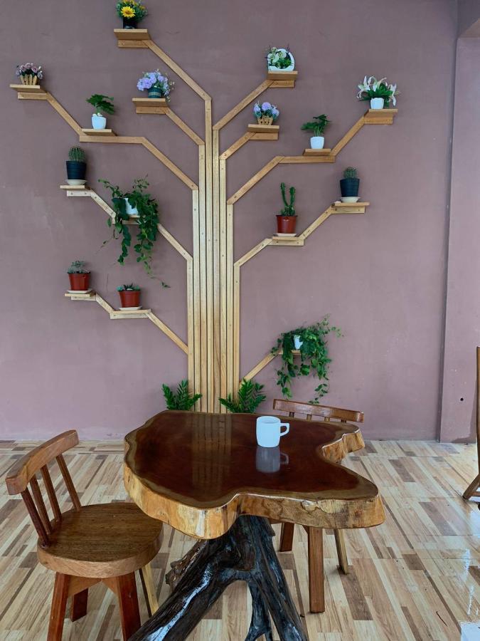 Sunshine View Hotel And Restaurant Corozal Town Extérieur photo